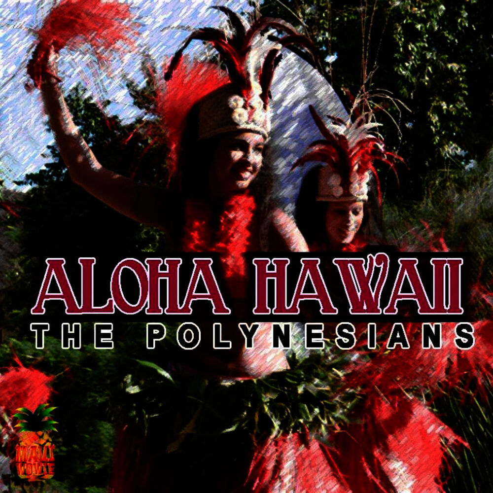 Picture of Aloha Hawaii