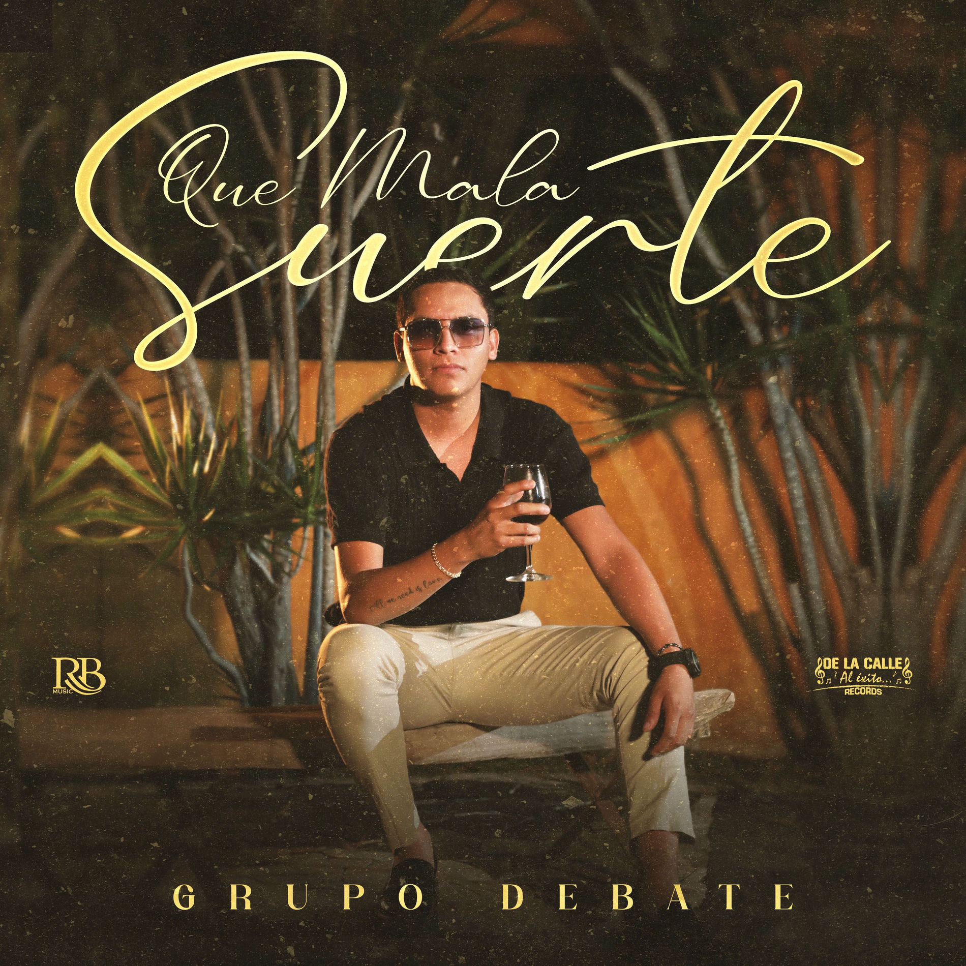 Album cover of Qué Mala Suerte