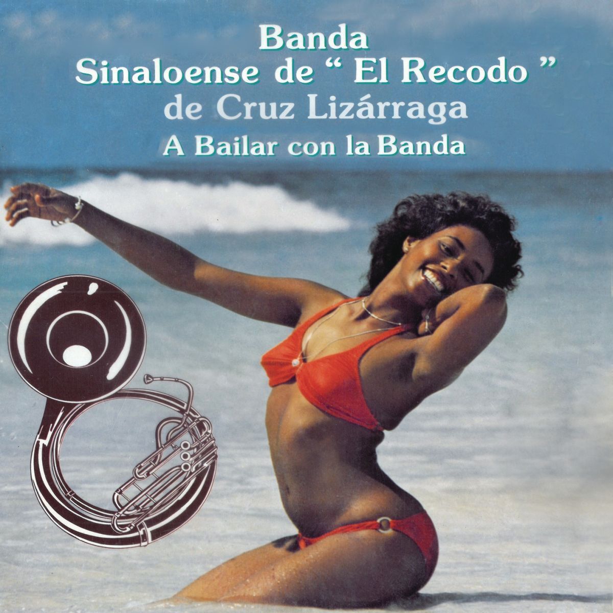 Album cover of A Bailar con la Banda