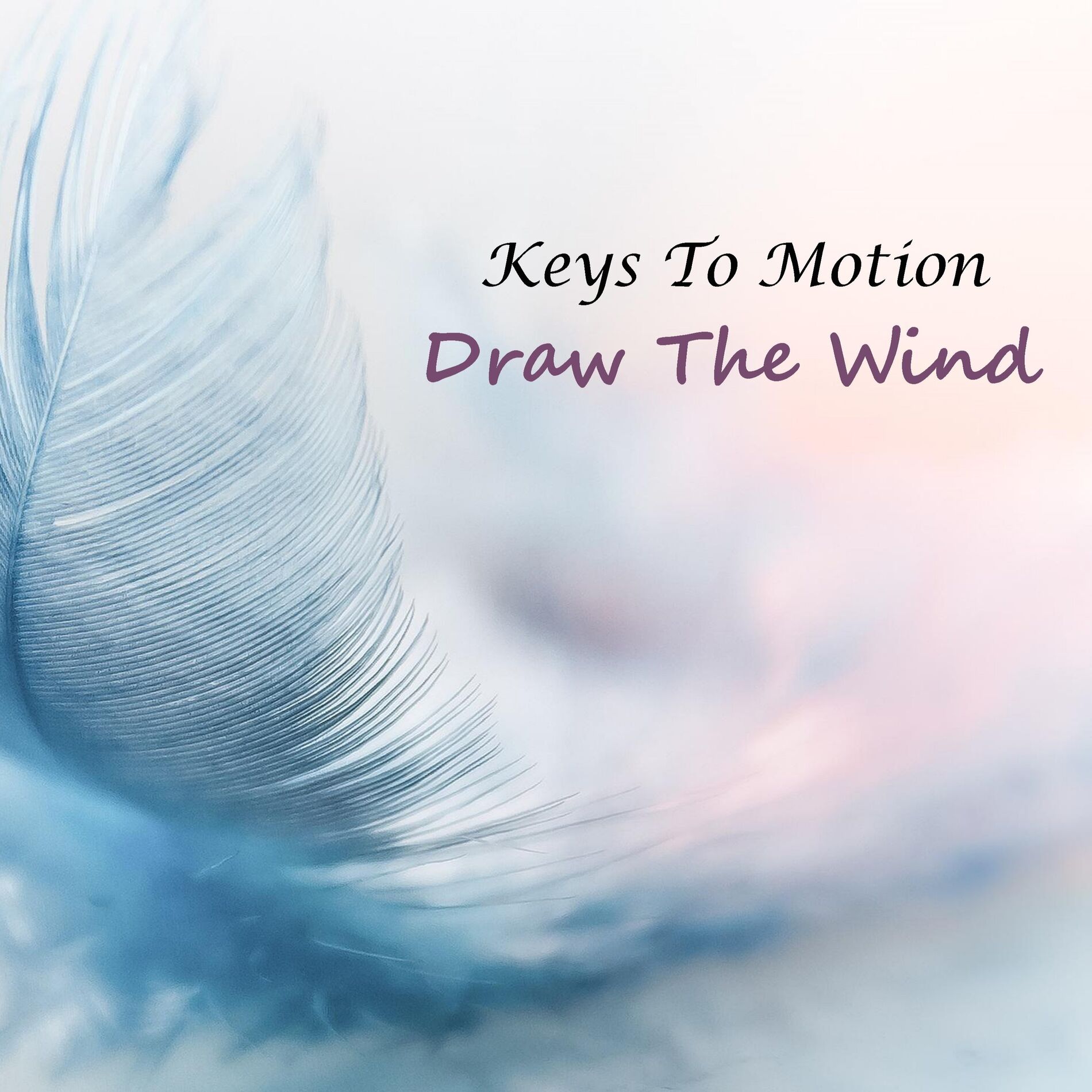 Album cover of Draw the Wind