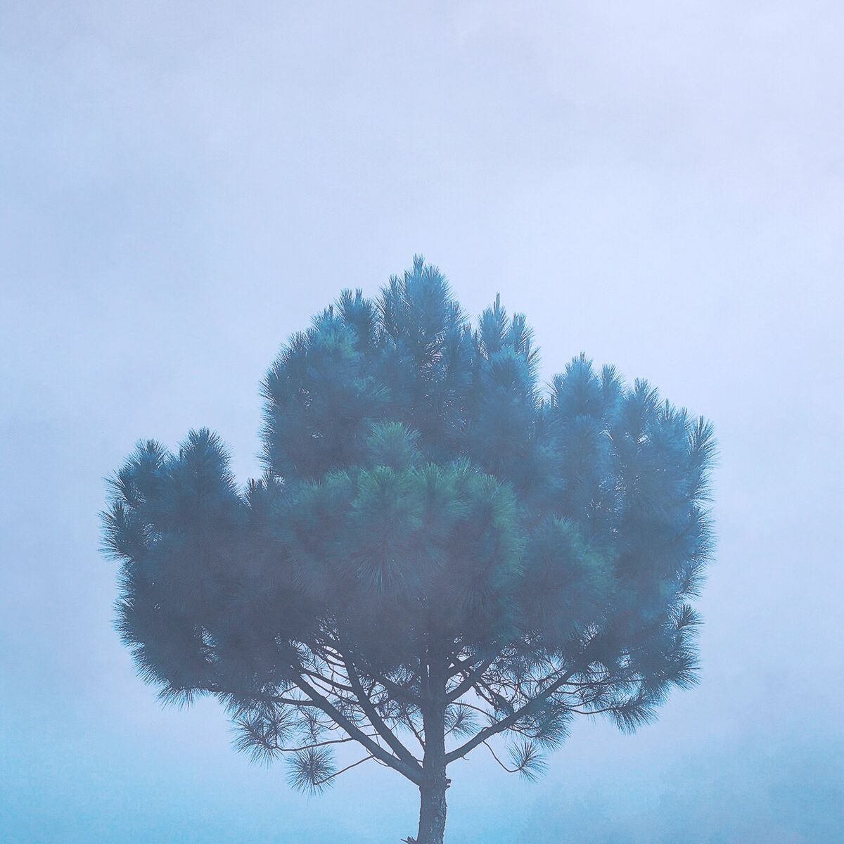Album cover of Memories