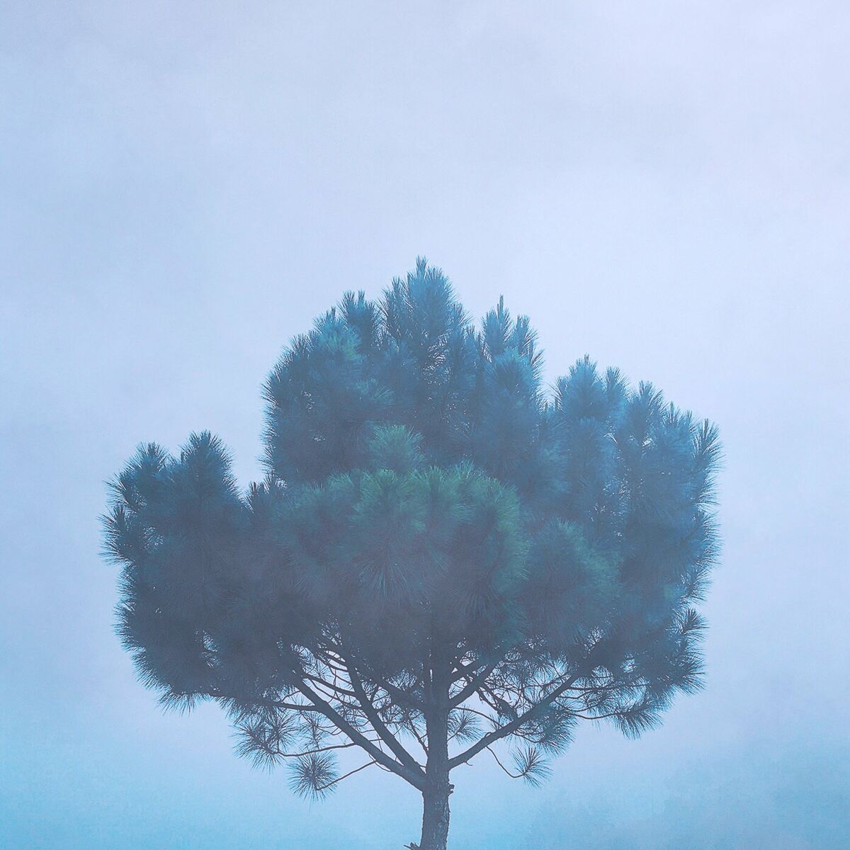 Album cover of Memories