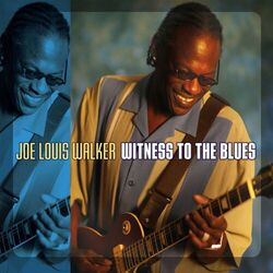 Cover of Witness To The Blues