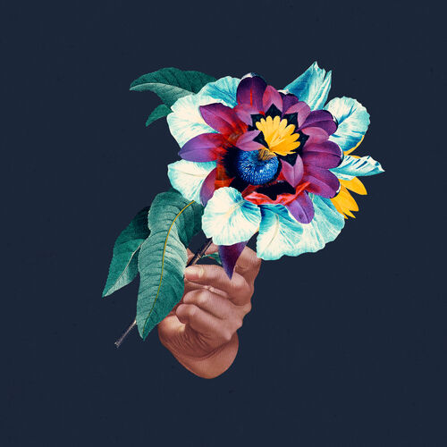 Maribou State - Kingdoms in Colour - Amazon.com Music