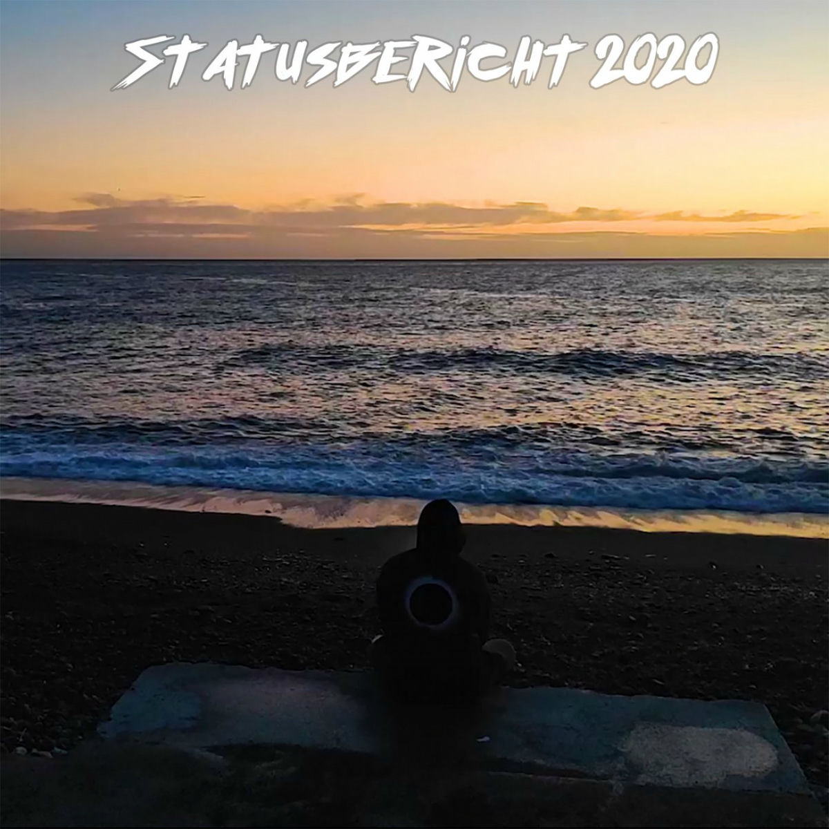 Album cover of Statusbericht 2020