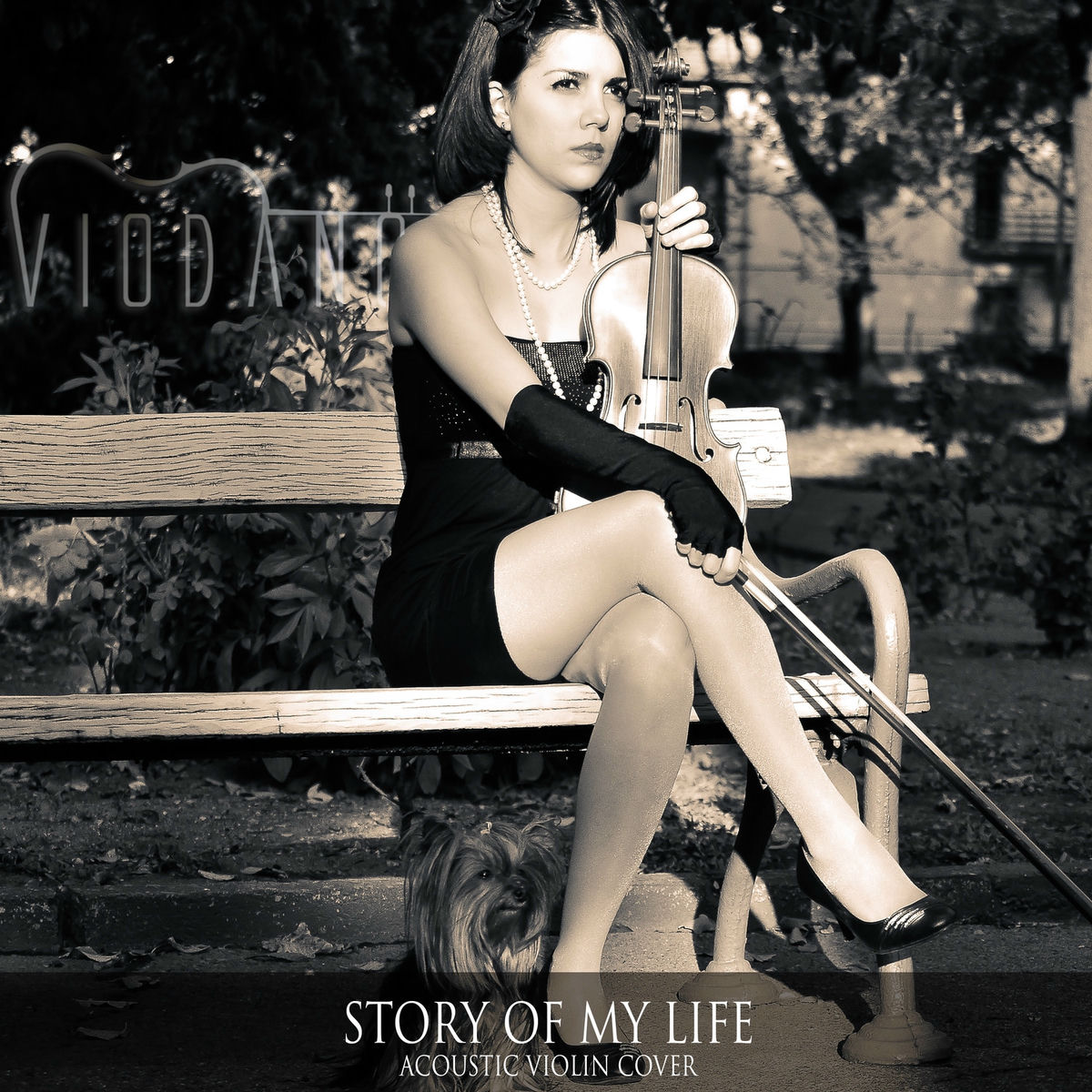 Album cover of Story of My Life (Acoustic Violin Version)