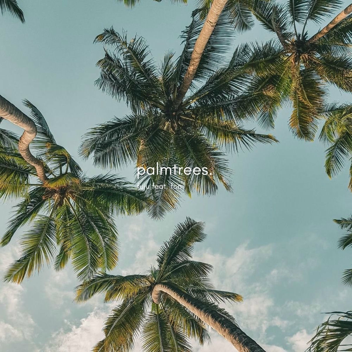 Album cover of Palmtrees