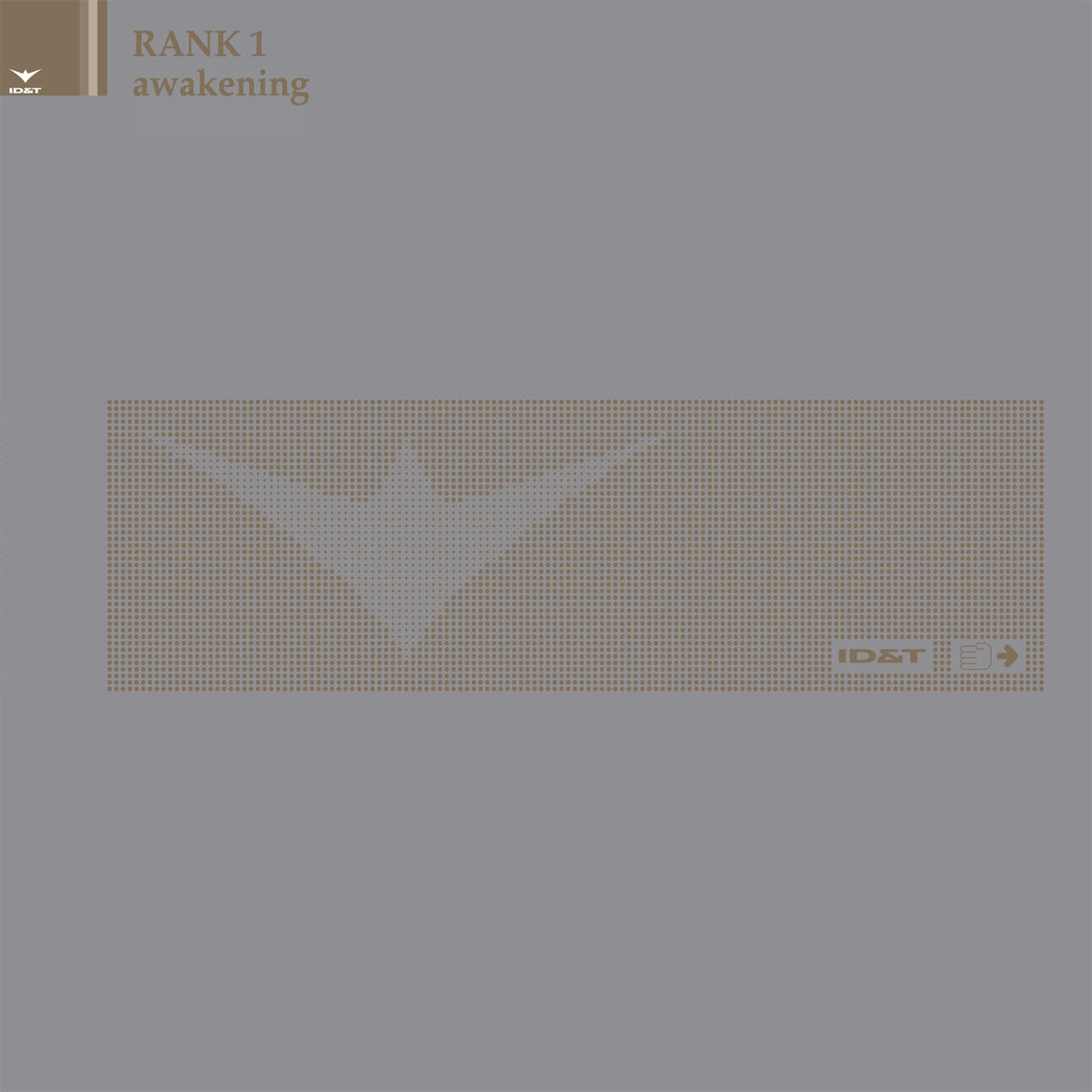 Album cover of Awakening