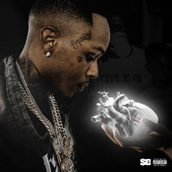 Cover of Platinum Heart