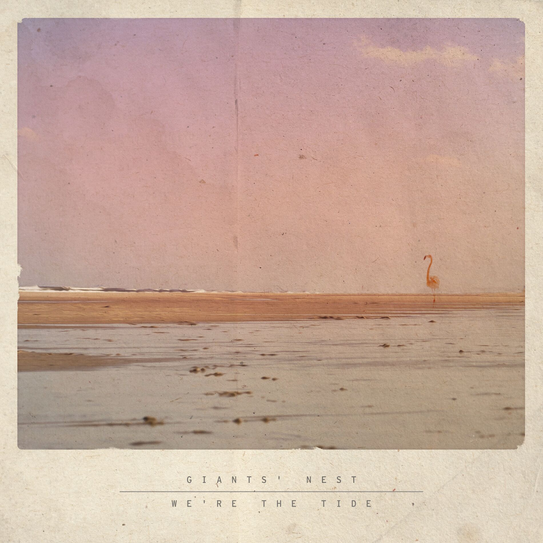 Album cover of We're the Tide