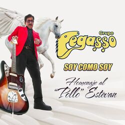 Cover of Soy Como Soy - Homenaje Al Pollo Estevan