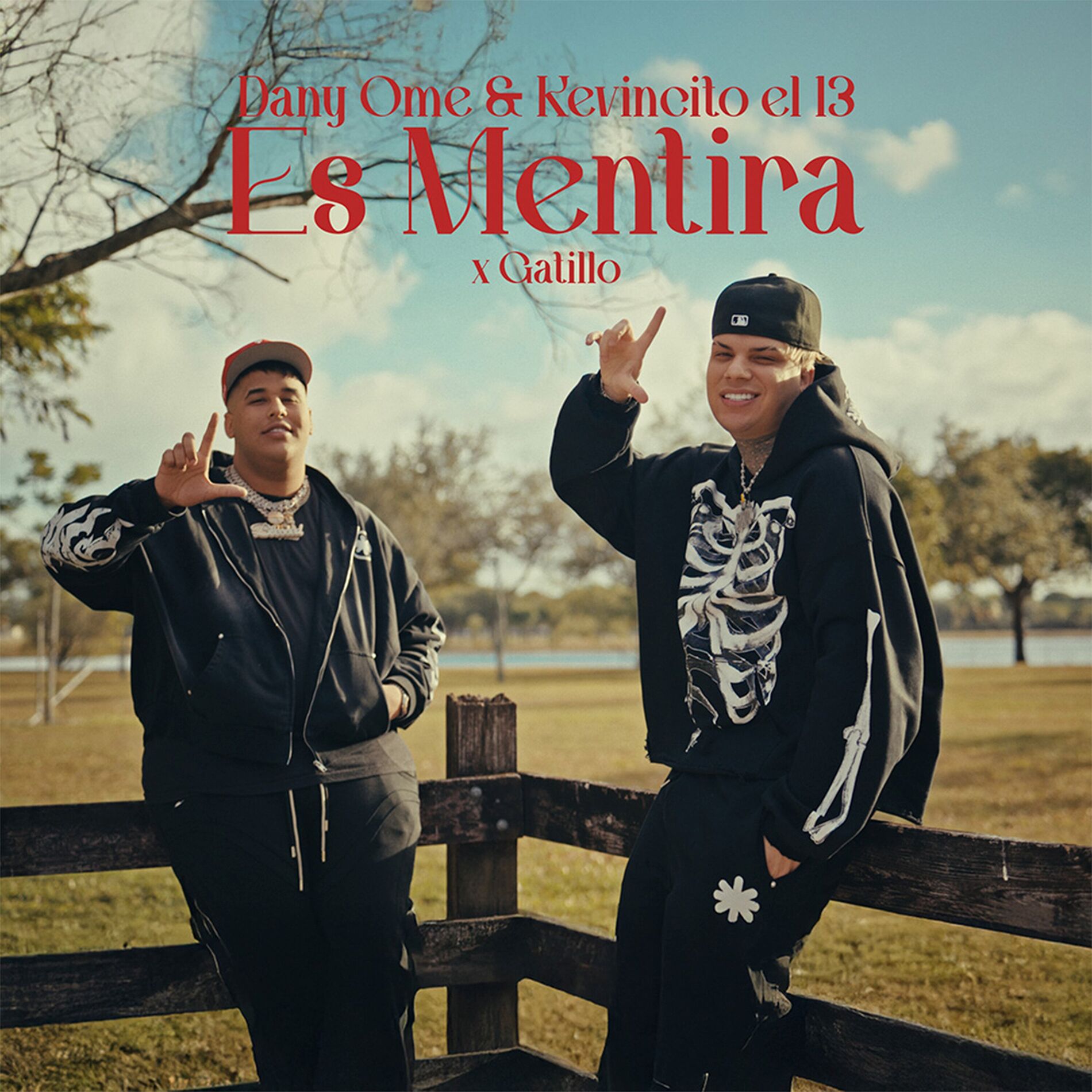 Album cover of Es Mentira