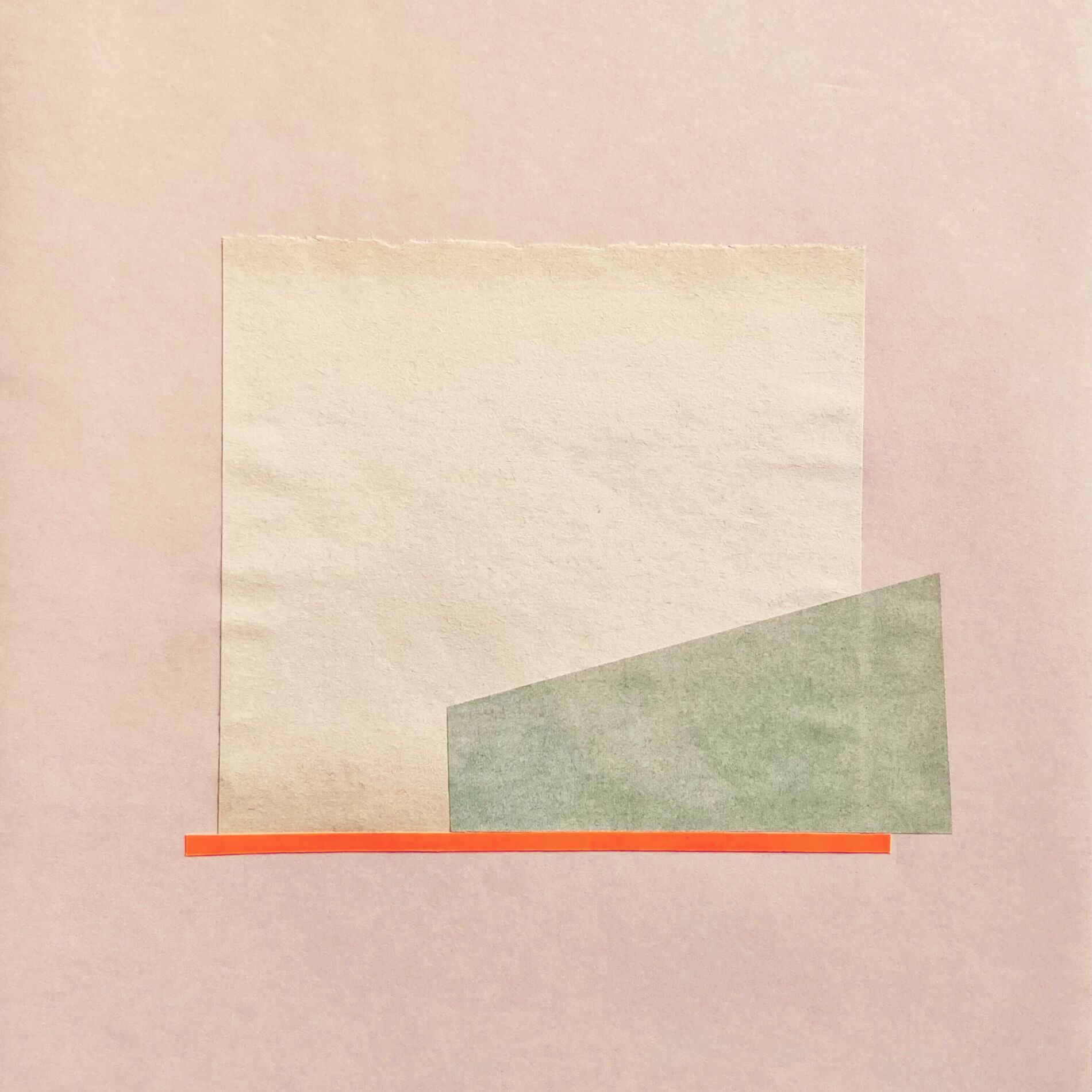 Album cover of Forest for the Trees