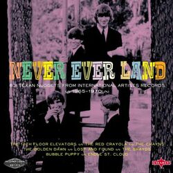 Cover of Never Ever Land - 83 Texan Nuggets from International Artists Records 1965-1970