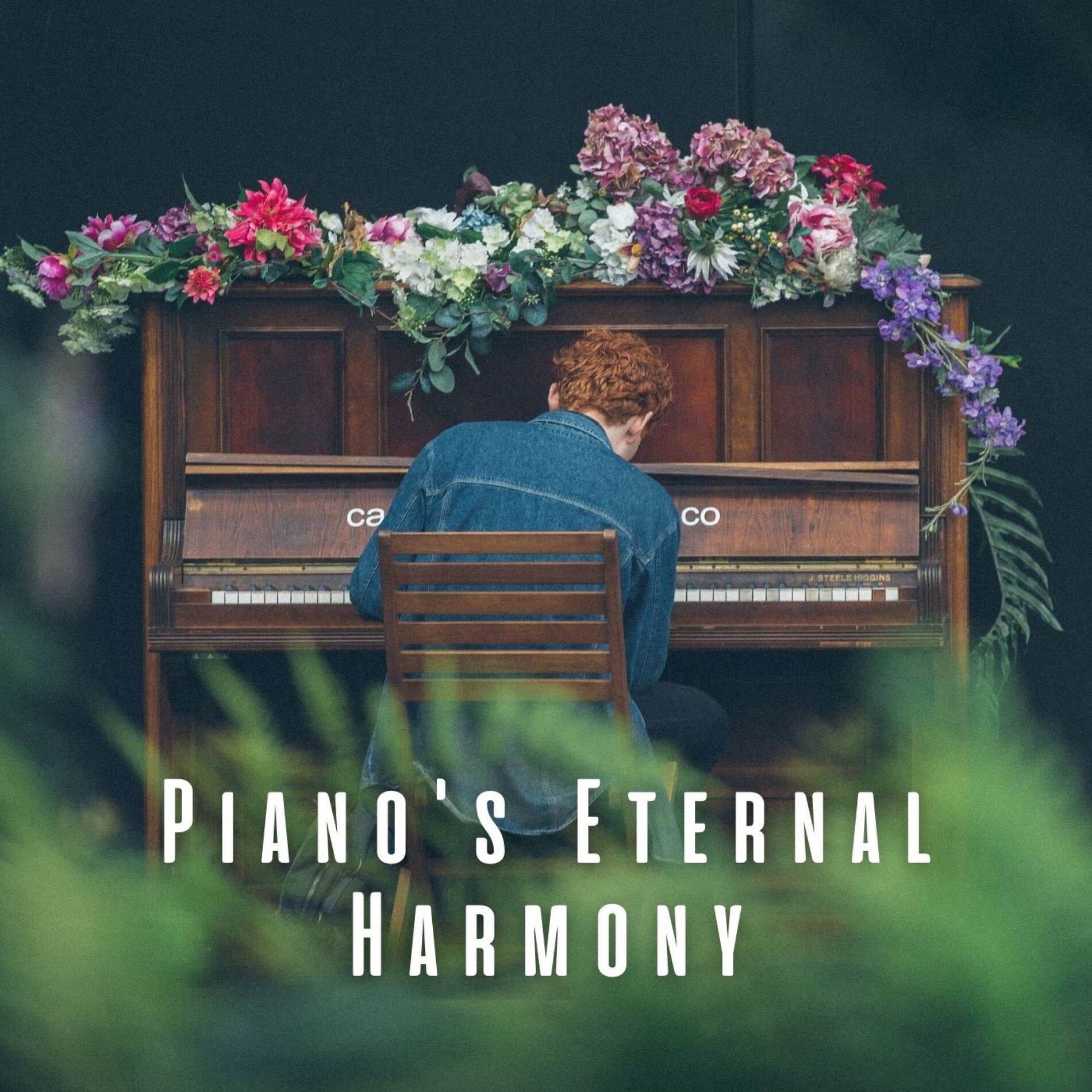 Album cover of Piano's Eternal Harmony