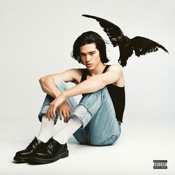 Cover of Kid Krow