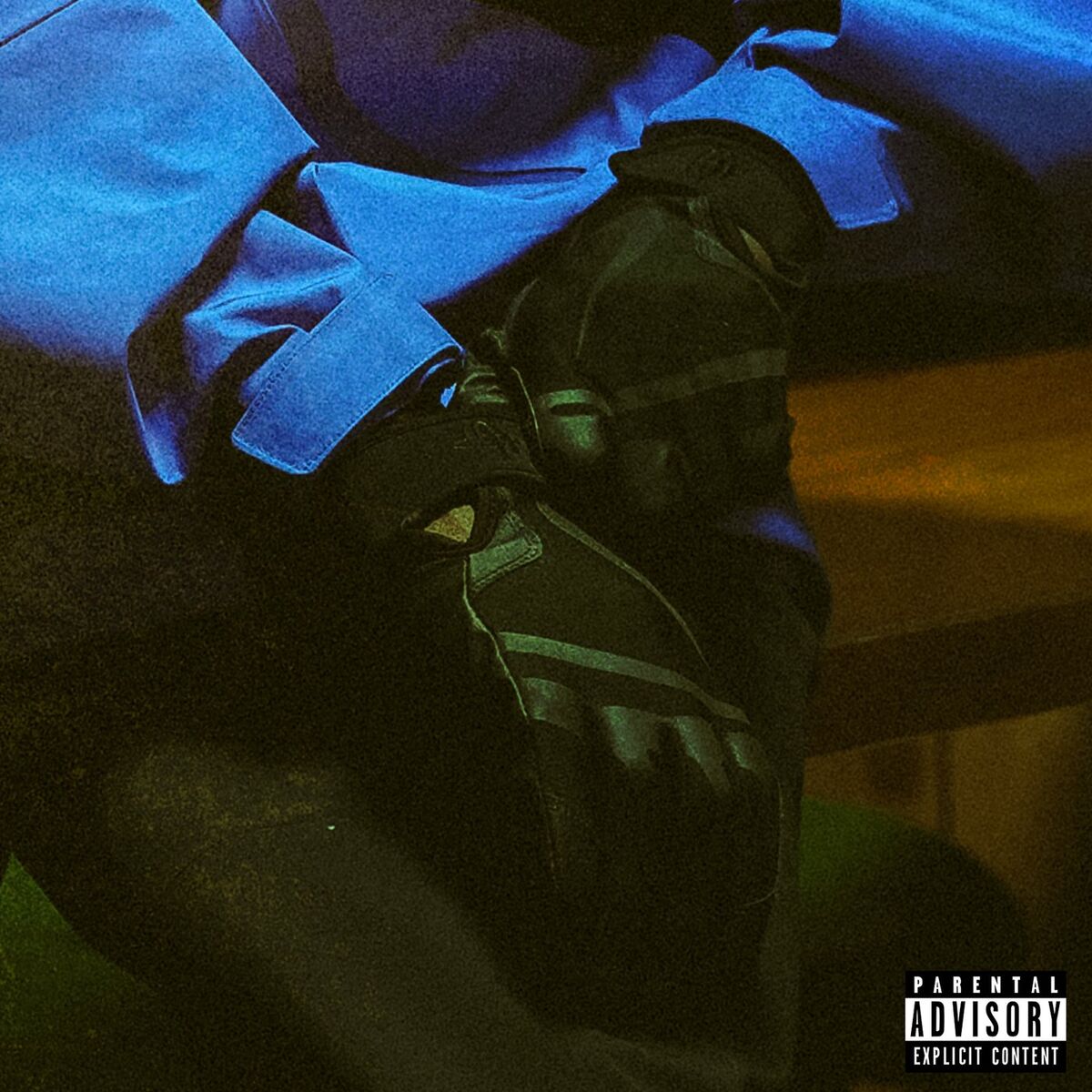 Album cover of JUST LANDED