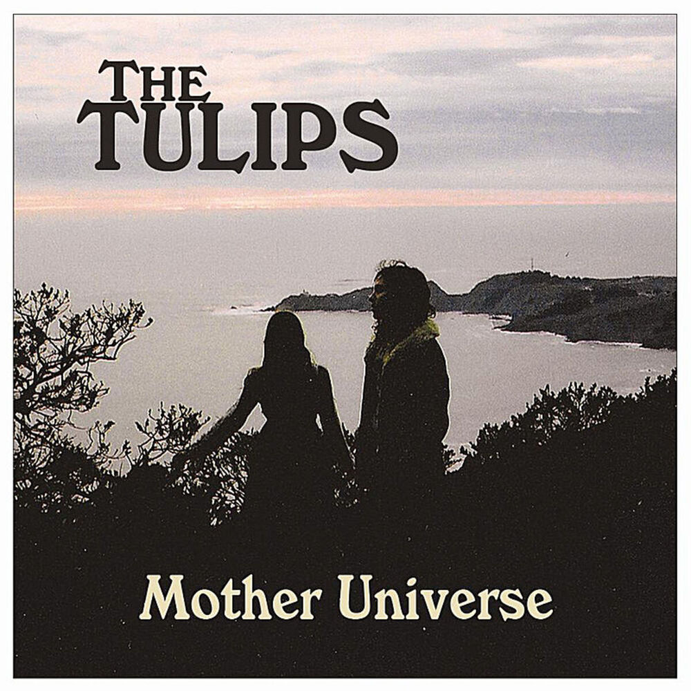 Picture of Mother Universe