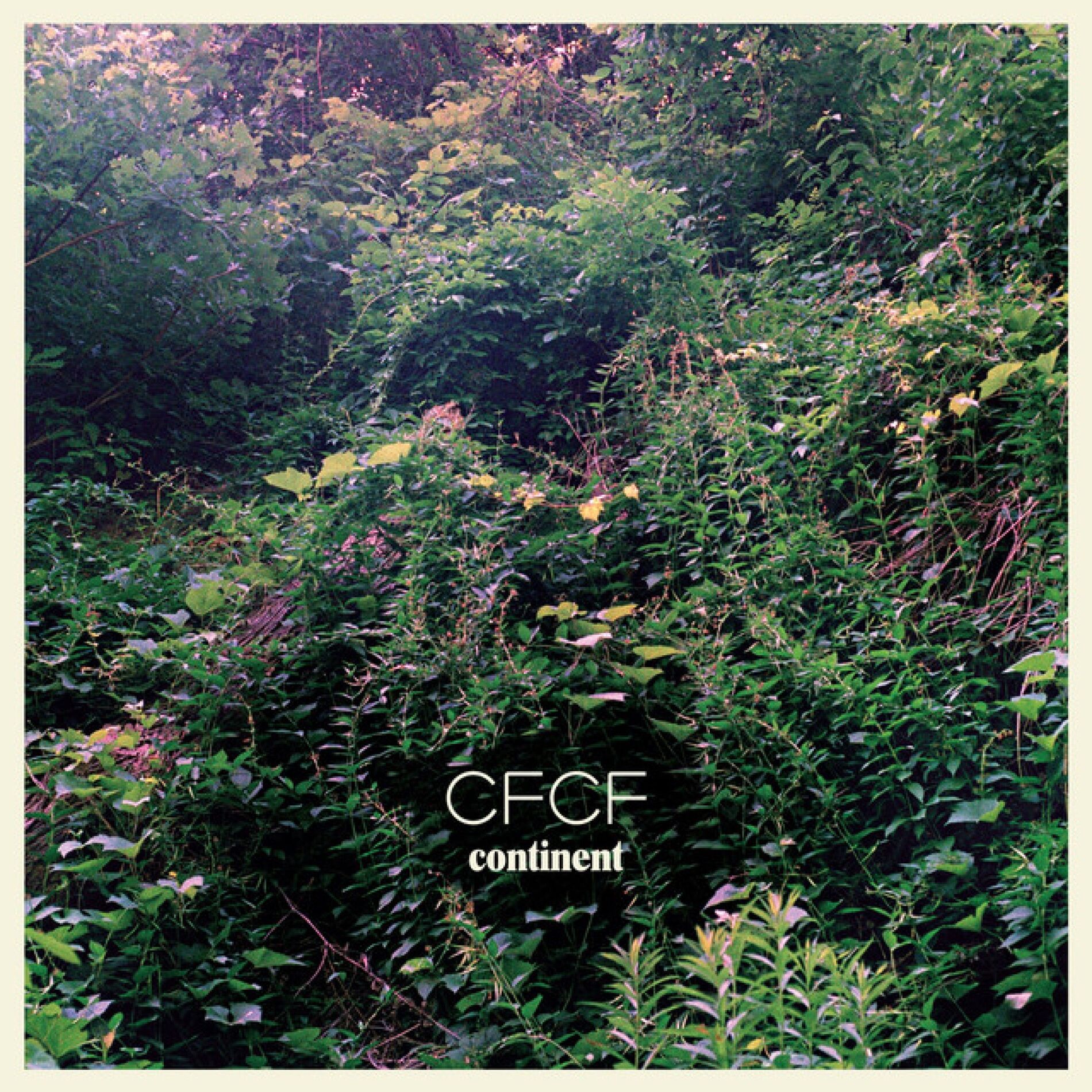 Album cover of Continent