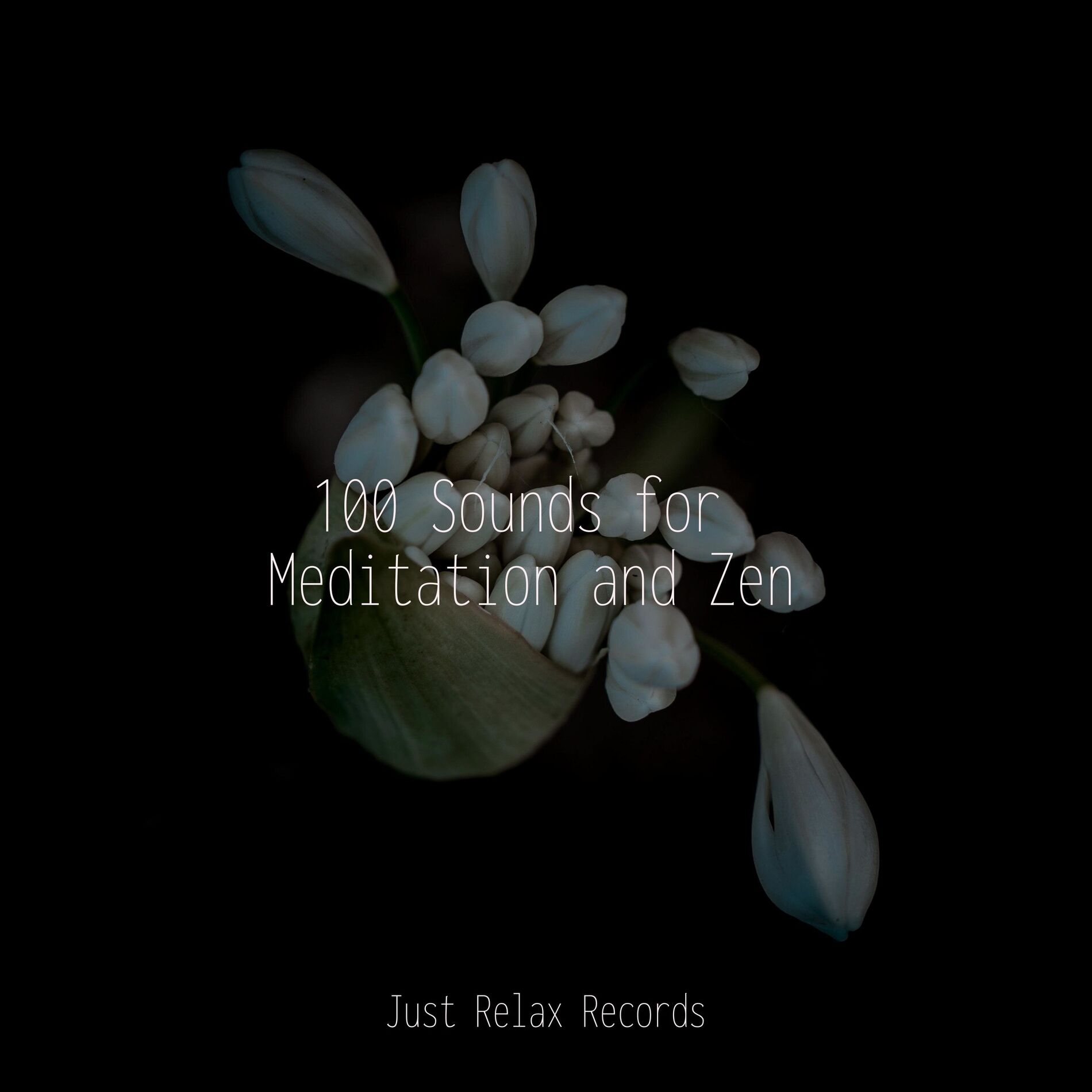 Album cover of 100 Sounds for Meditation and Zen