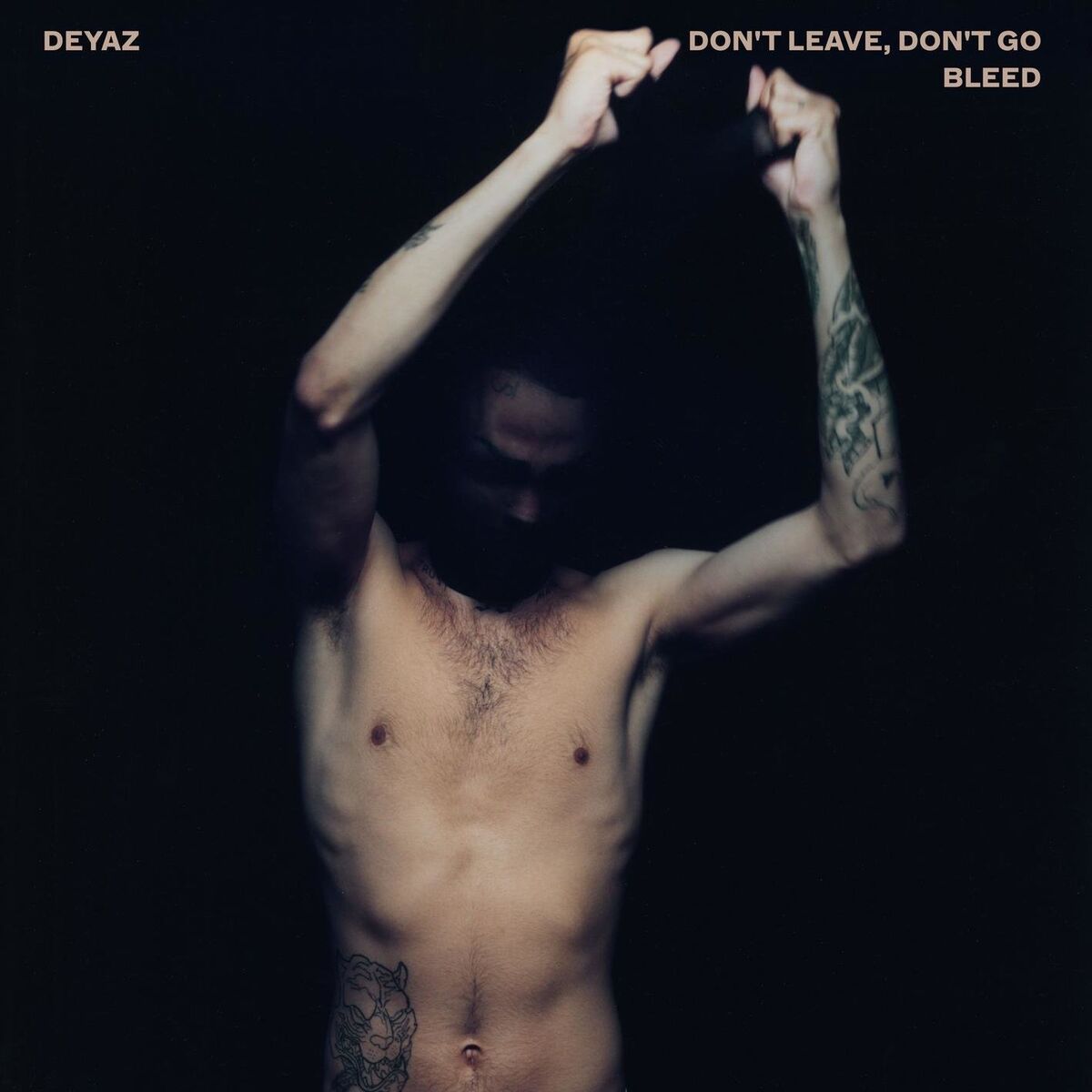 Album cover of Don't Leave, Don't Go