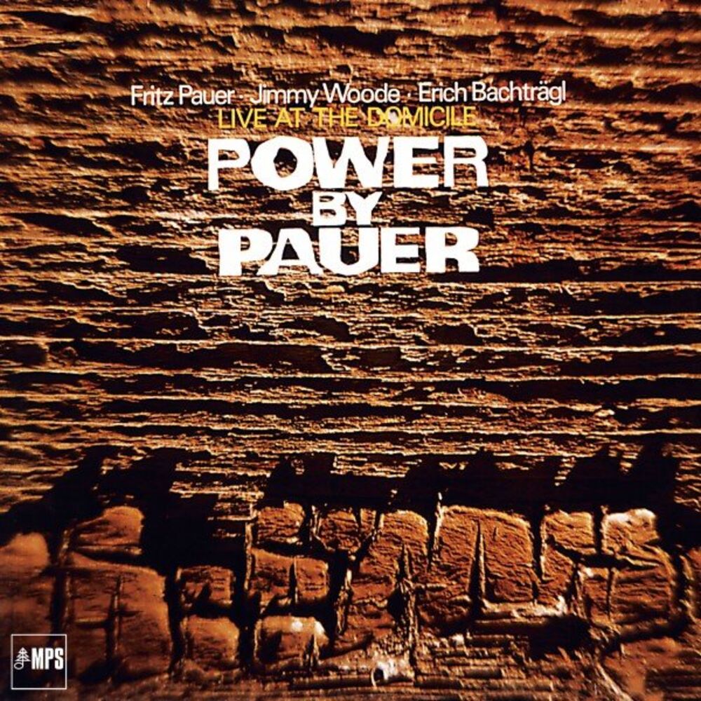 Picture of Power by Pauer