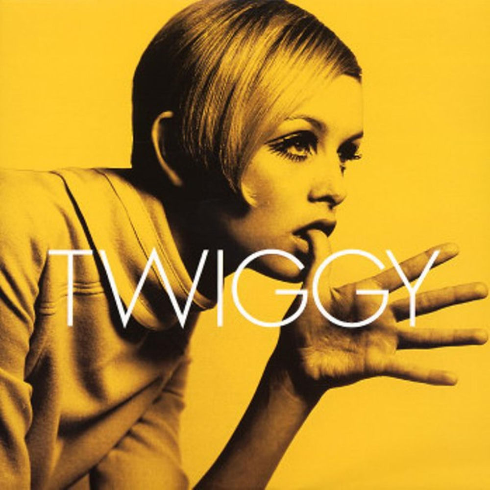 is twiggy still alive - Ilustrasi 2