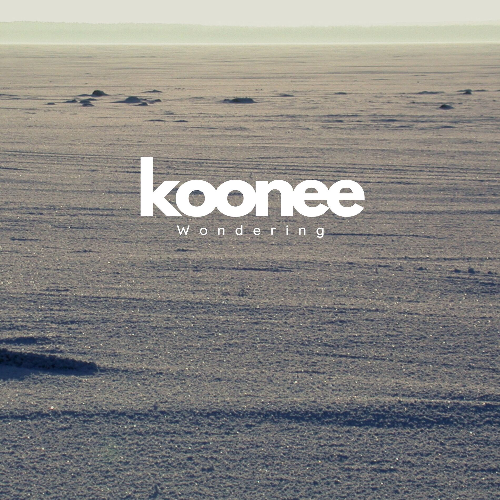 Album cover of Wondering