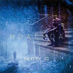 Cover of Ndaenda