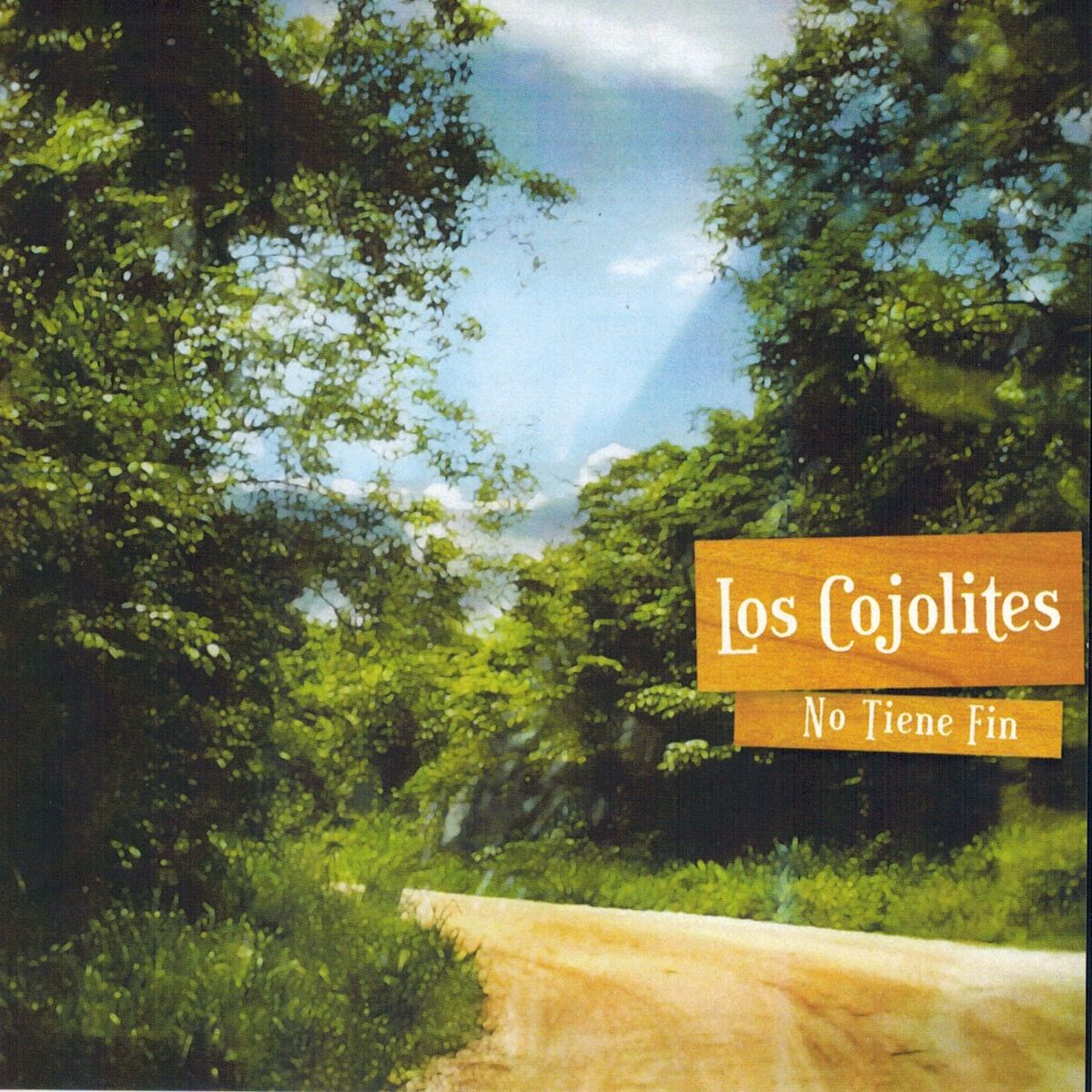 Album cover of No Tiene Fin