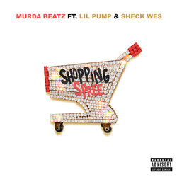 Cover of Shopping Spree