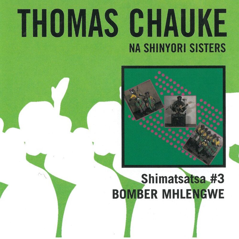 Picture of Shimatsatsa, No. 03: Bomber Mhlengwe