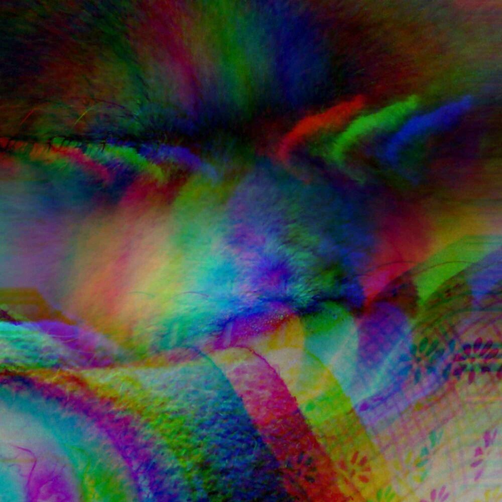 Picture of Music for Doggy Vibes