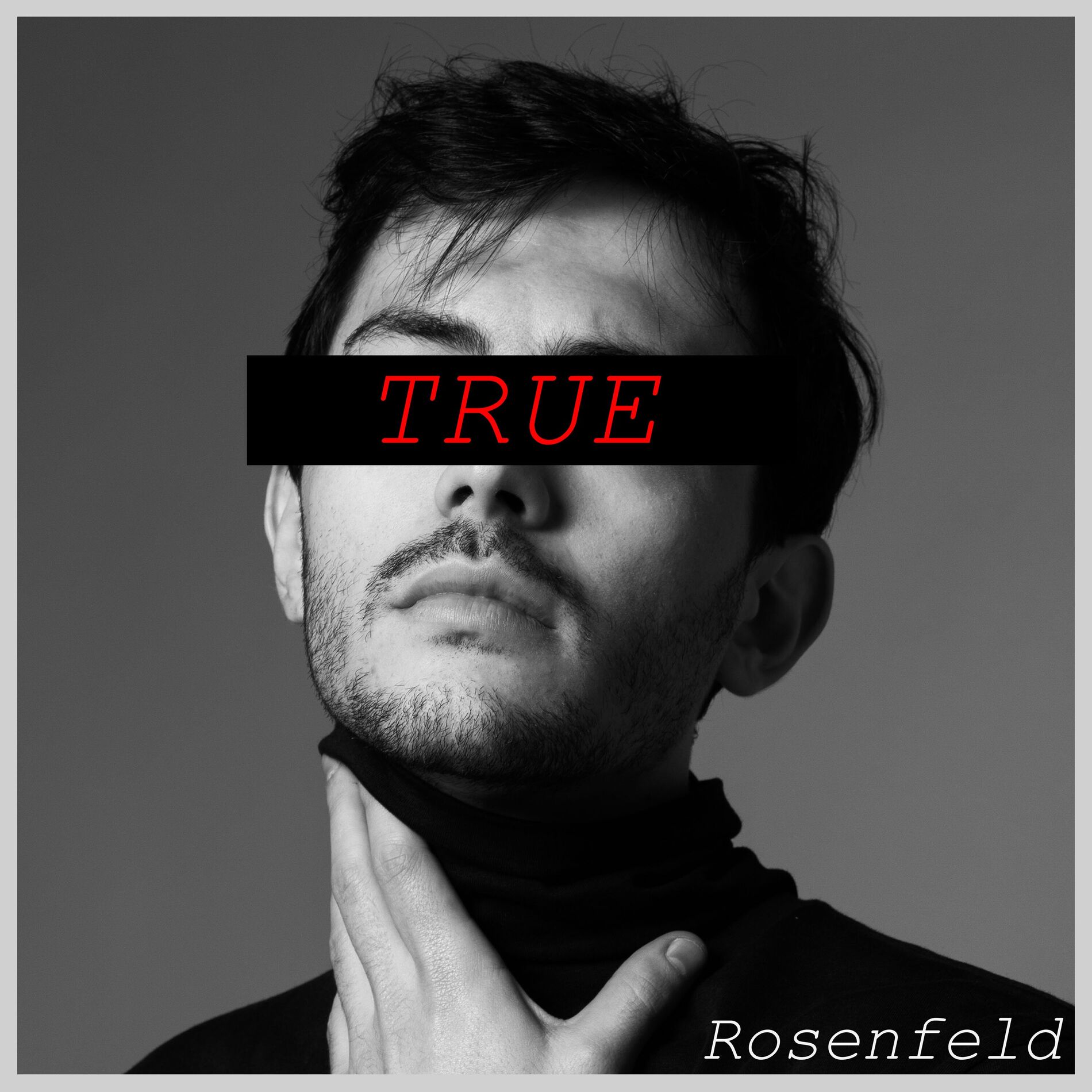 Album cover of True