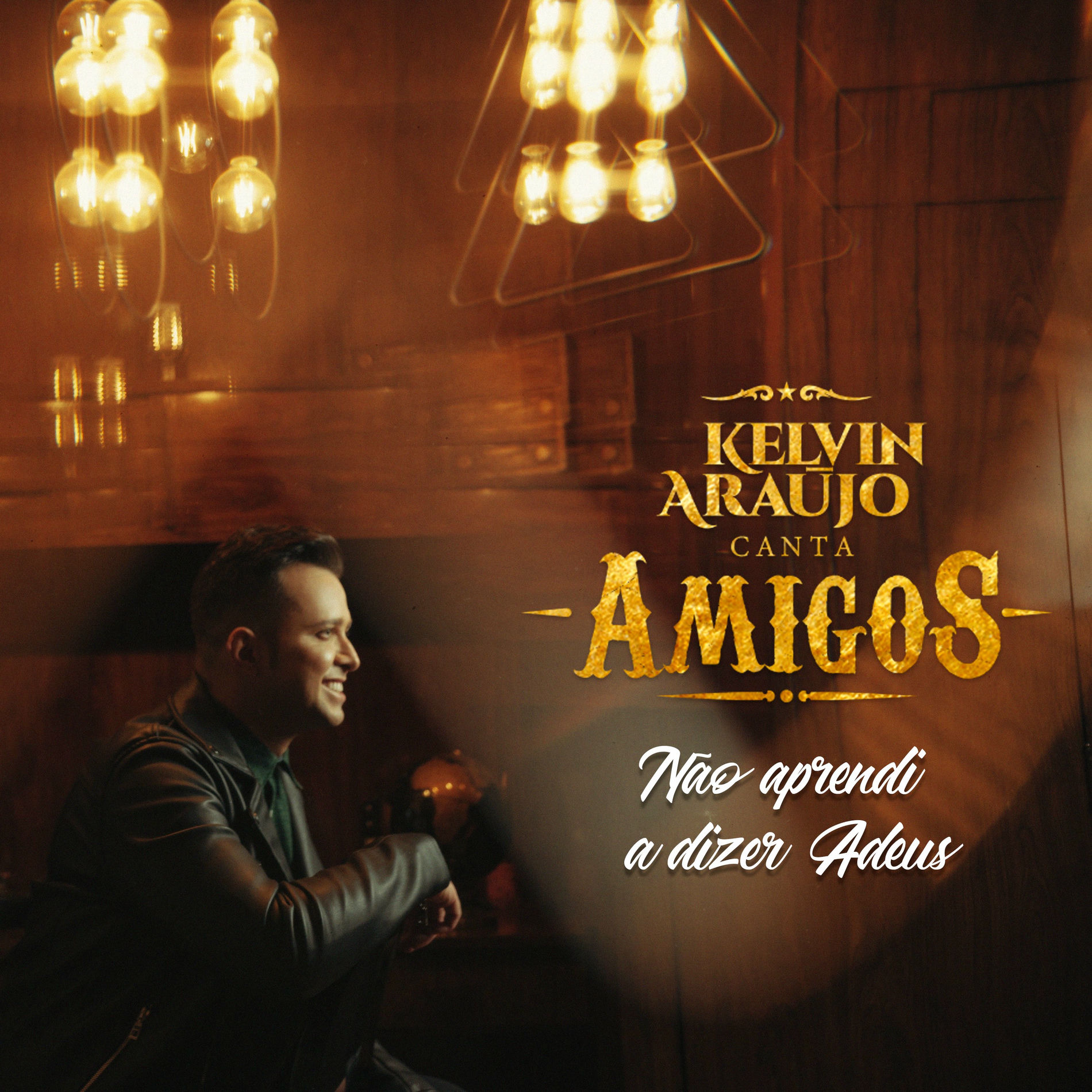Album cover of Não Aprendi a Dizer Adeus