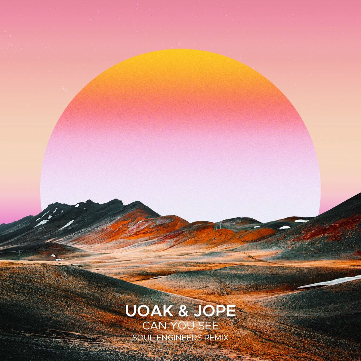 Album cover of Can You See