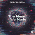 The Mess We Made