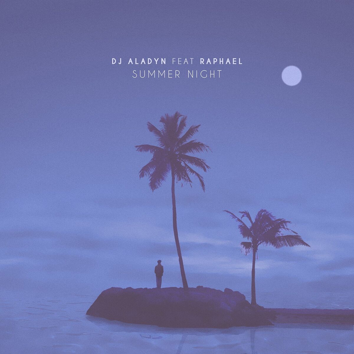Album cover of Summer Night
