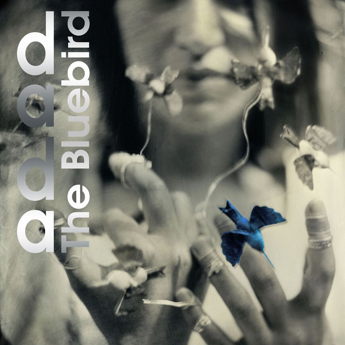 Album cover of The Bluebird