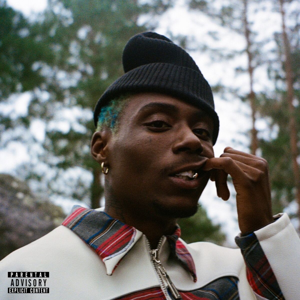 Album cover of Fils de
