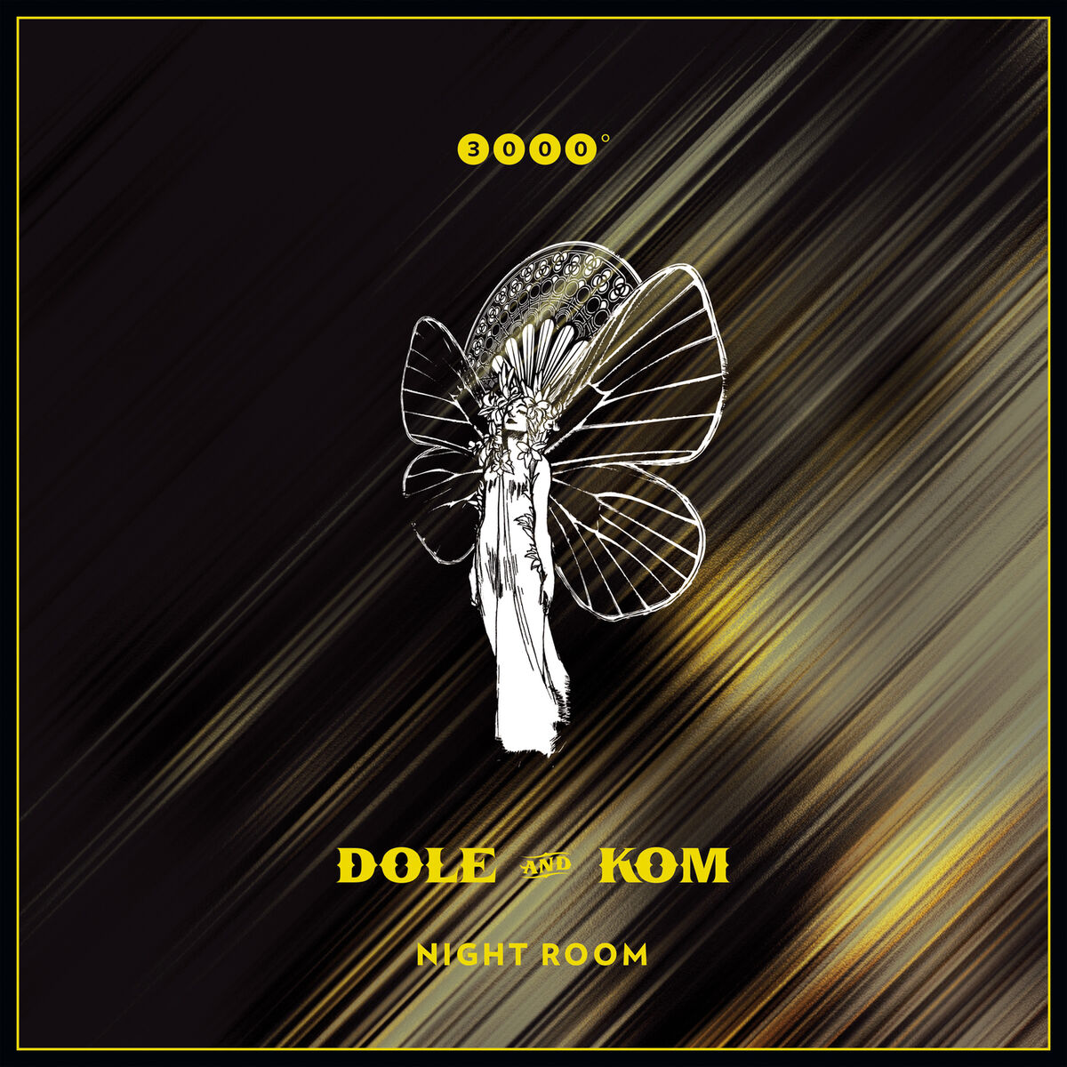 Album cover of Night Room