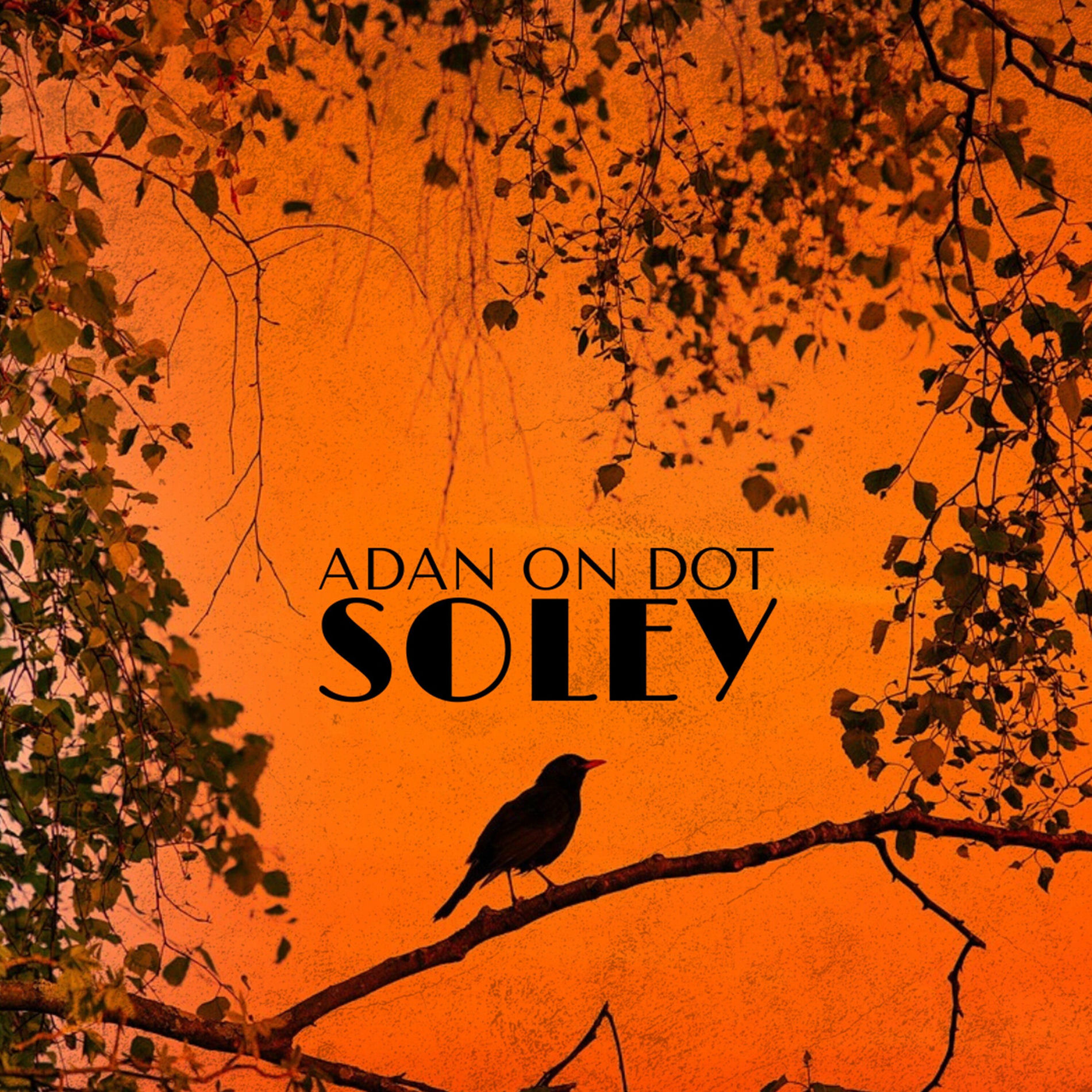 Album cover of Adan on Dot Soley