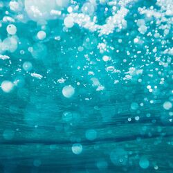 Cover of Dive