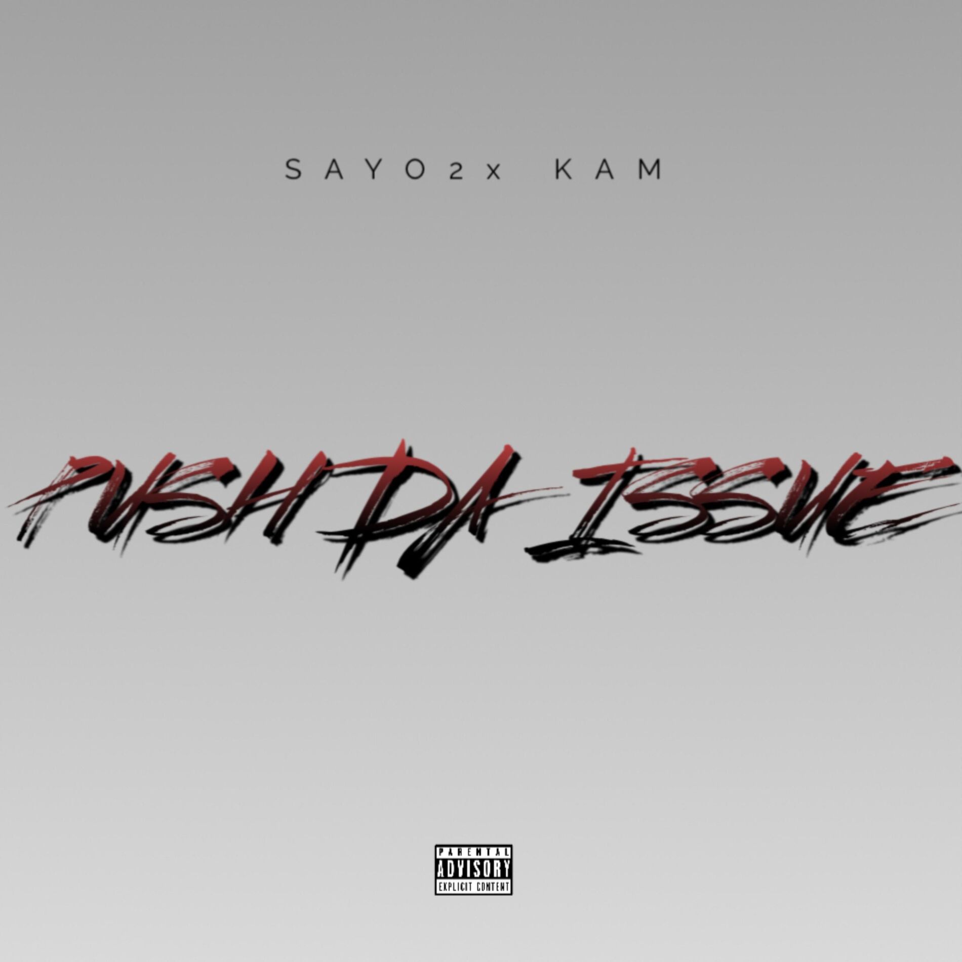 Album cover of PUSH DA ISSUES