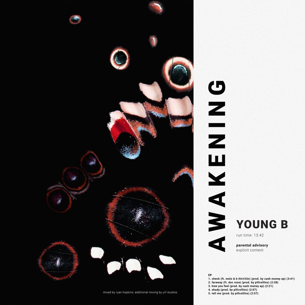 Picture of Awakening