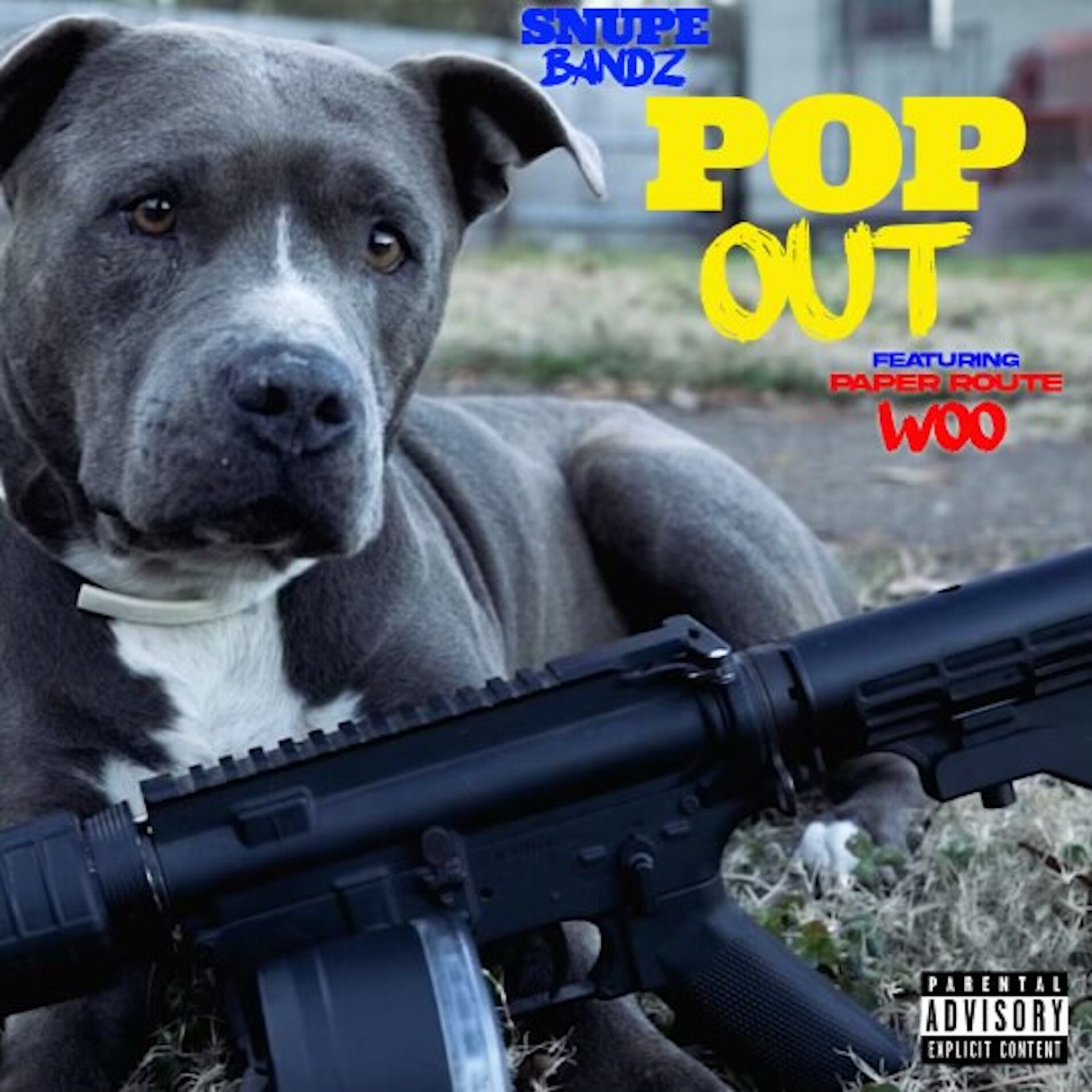 Album cover of Pop Out ( feat. PaperRoute Woo)
