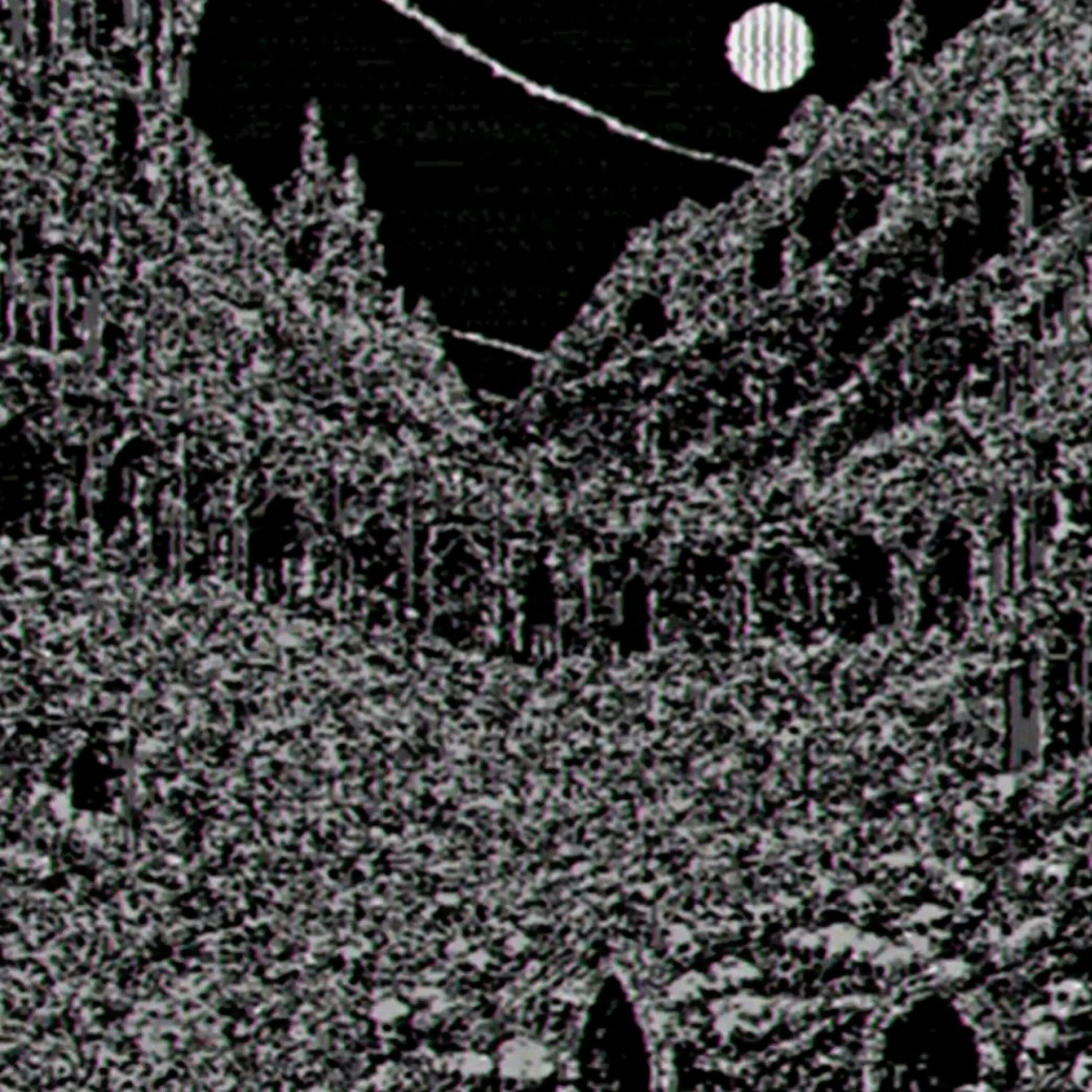 Album cover of Only Winter