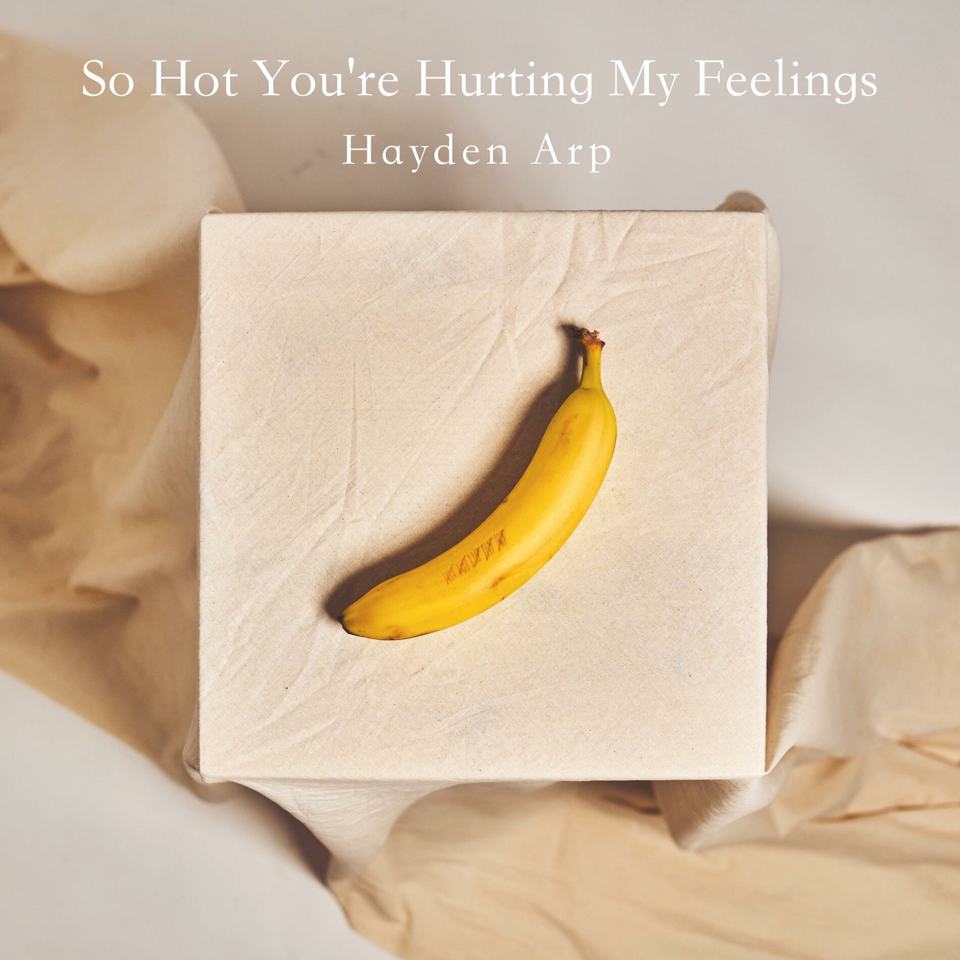 Album cover of So Hot You're Hurting My Feelings
