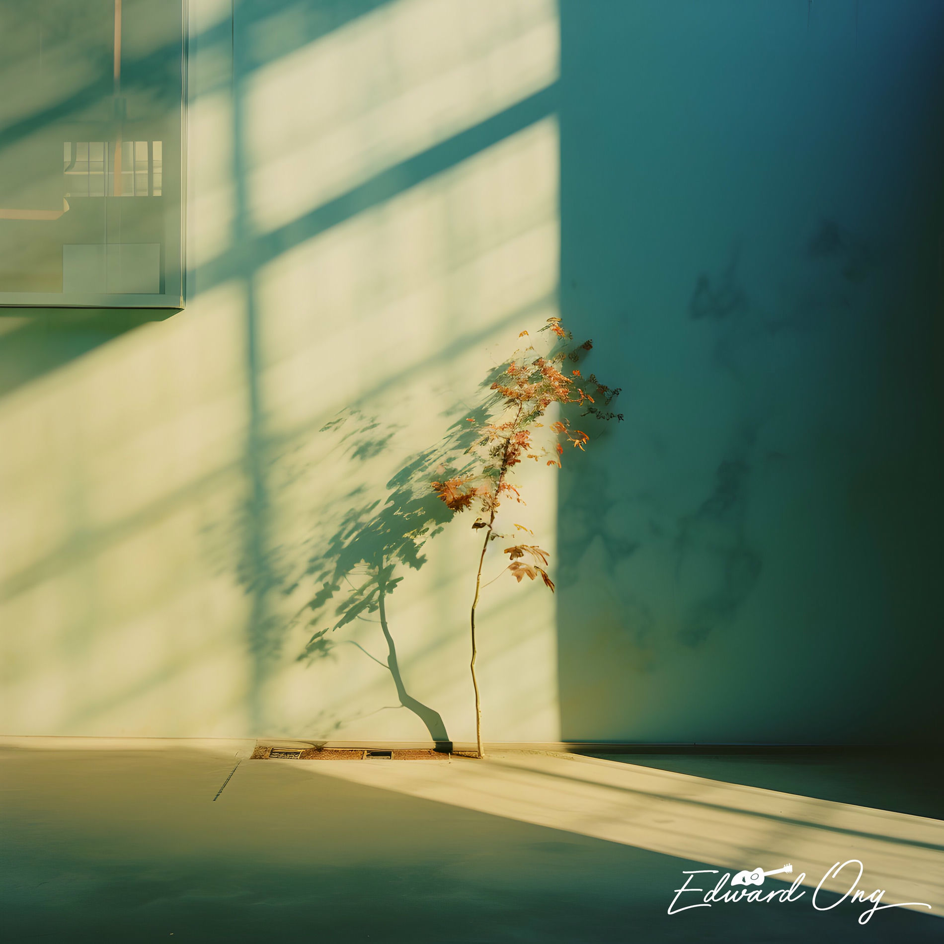 Album cover of what i was made for? (acoustic instrumental solo)