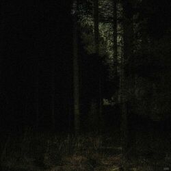 Cover of TREPIDATION